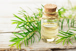 Load image into Gallery viewer, Tea Tree organic Essential Oil*