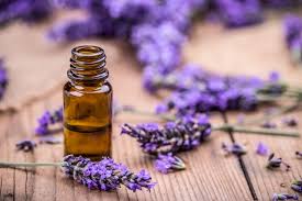 Lavender Australia Essential Oil